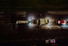 business development indicator codes