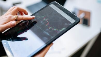 investment viability analysis data