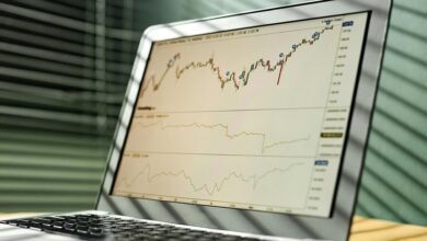 financial growth investment forecasts