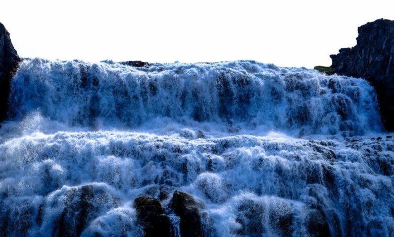 digital growth initiative launch