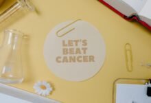 revenue optimization strategies unveiled